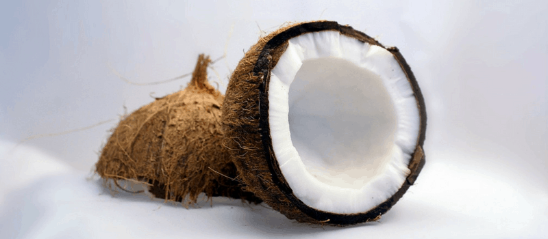 Kokosolie kopen 800x350px