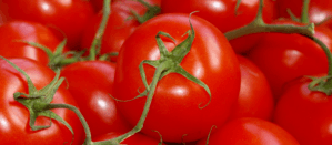 Koolhydraatarm tomaten 800x350px