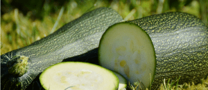 courgette 800x350px