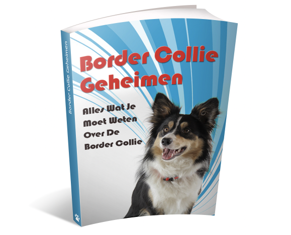 Border Collie Geheimen review