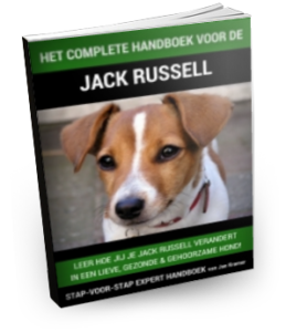 Hoe is de prijs-kwaliteitverhouding Handboek-jack-russell